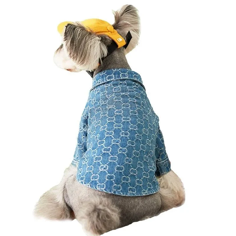 Camisa / Casaco "Designer" para Cães Pequenos e Médios