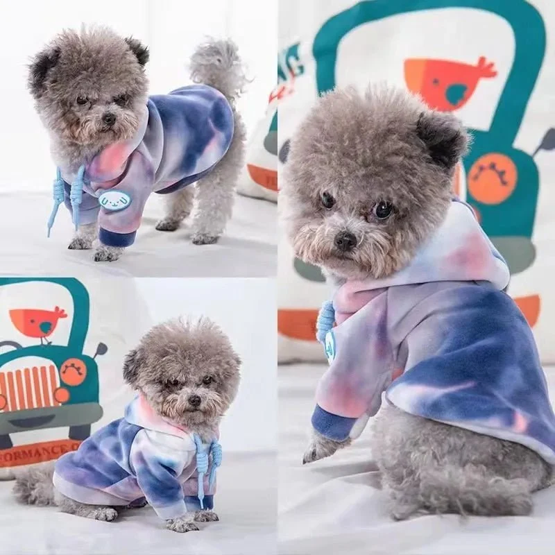 Camisola para Gatos Sphynx ou Cães Pequenos e Médios