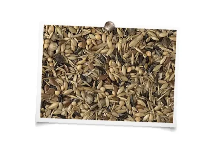King Native Birds ohne Raps 20kg