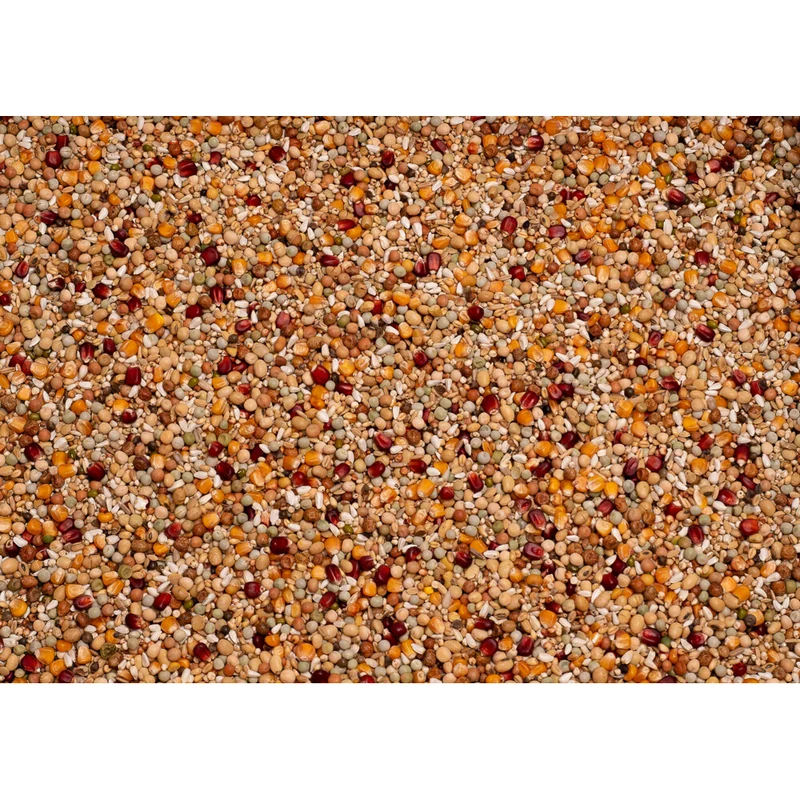 Galaxy Zucht 20 kg - Beyers