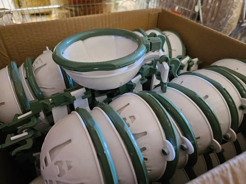 Nest Nicolas – Mit abnehmbarem grünen Ring – Moldes Ave