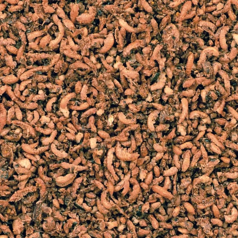 CéDé-Insekten mit Honig und Beeren 3 kg