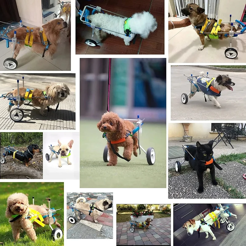 Cadeira de rodas / Andarilho Ajustável para Cães