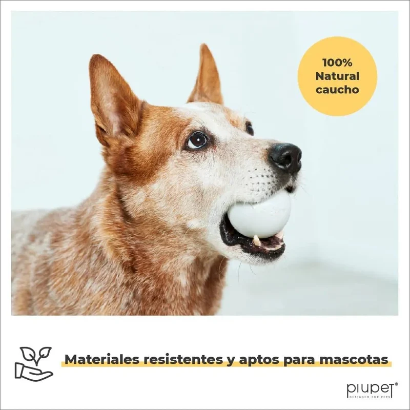 Conjunto de 2 Bolas para Cães, Resistentes a Mordidas
