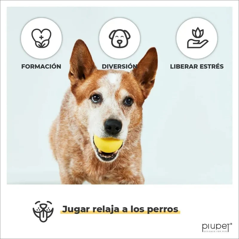Conjunto de 2 Bolas para Cães, Resistentes a Mordidas