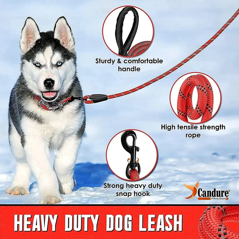 Trela / Correia para Cão com Pega Acolchoada Macia em Nylon sólido/longo, Refletora