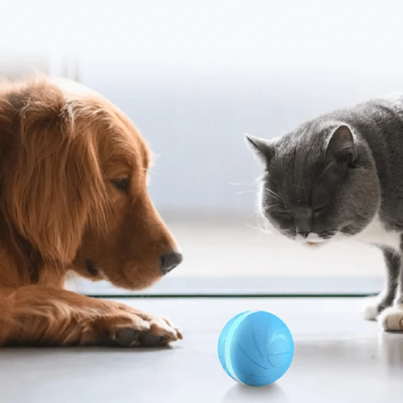 ⭐️⭐️⭐️⭐️⭐️ Bola "Inteligente" / Brinquedo Super-Divertido para 🐶 Cães e 🐱 Gatos (carregamento USB - Luz LED Flash) ⭐️⭐️⭐️⭐️⭐️