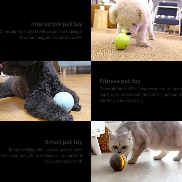 ⭐️⭐️⭐️⭐️⭐️ Bola "Inteligente" / Brinquedo Super-Divertido para 🐶 Cães e 🐱 Gatos (carregamento USB - Luz LED Flash) ⭐️⭐️⭐️⭐️⭐️