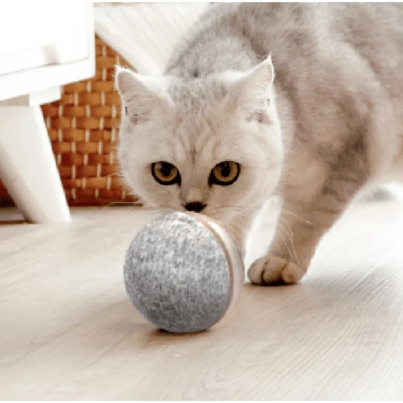 ⭐️⭐️⭐️⭐️⭐️ Bola "Inteligente" / Brinquedo Super-Divertido para 🐶 Cães e 🐱 Gatos (carregamento USB - Luz LED Flash) ⭐️⭐️⭐️⭐️⭐️