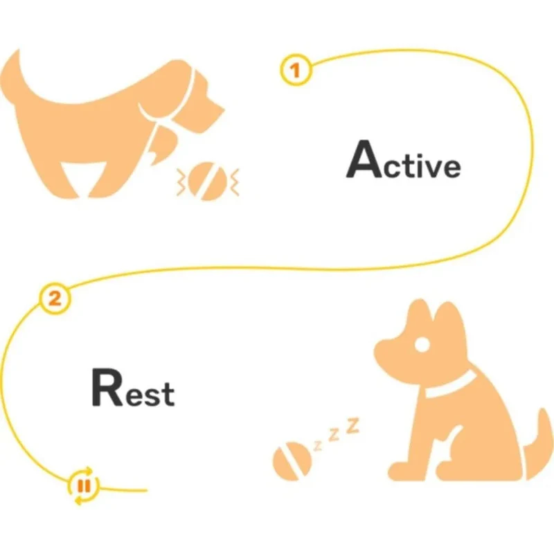 ⭐️⭐️⭐️⭐️⭐️ Bola "Inteligente" / Brinquedo Super-Divertido para 🐶 Cães e 🐱 Gatos (carregamento USB - Luz LED Flash) ⭐️⭐️⭐️⭐️⭐️