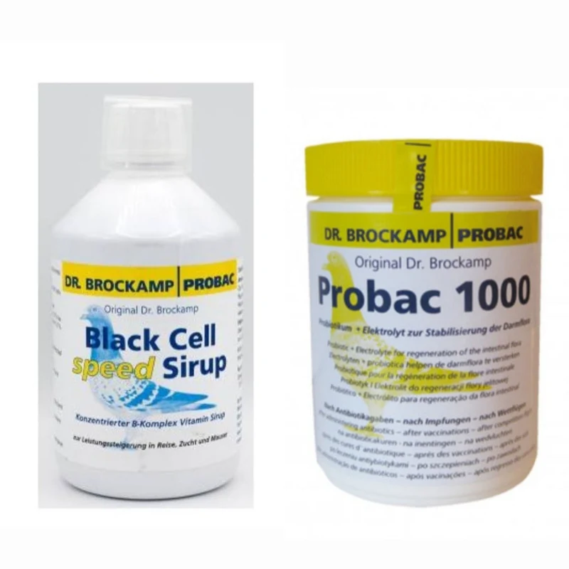 Schwarzzellsirup 500 ml + Probac 1000 (Dr. Brockamp)