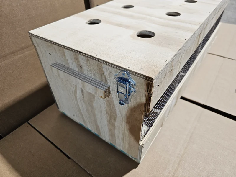 Transportbox Holz (robust und langlebig)