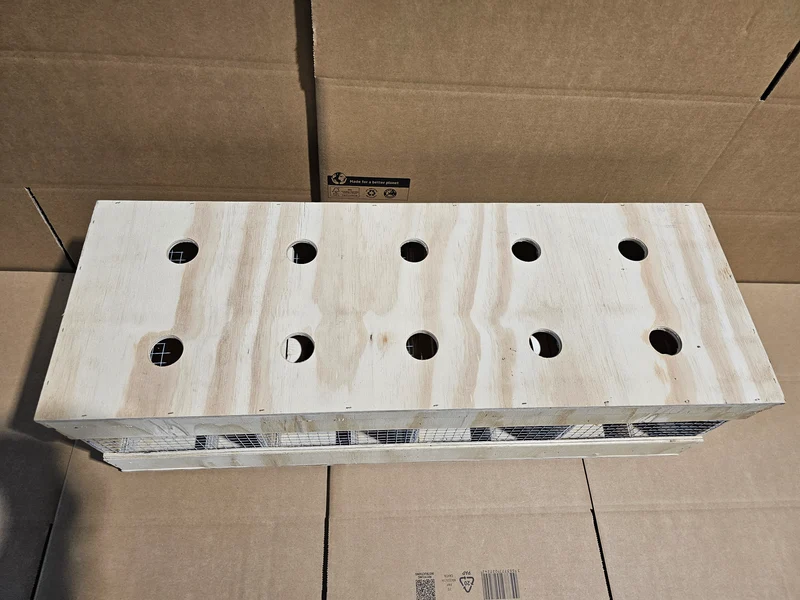 Transportbox Holz (robust und langlebig)