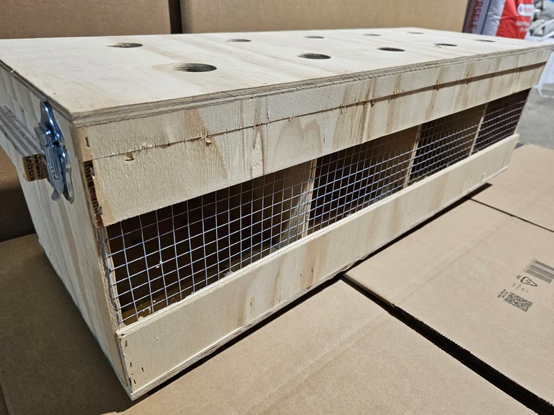 Transportbox Holz (robust und langlebig)