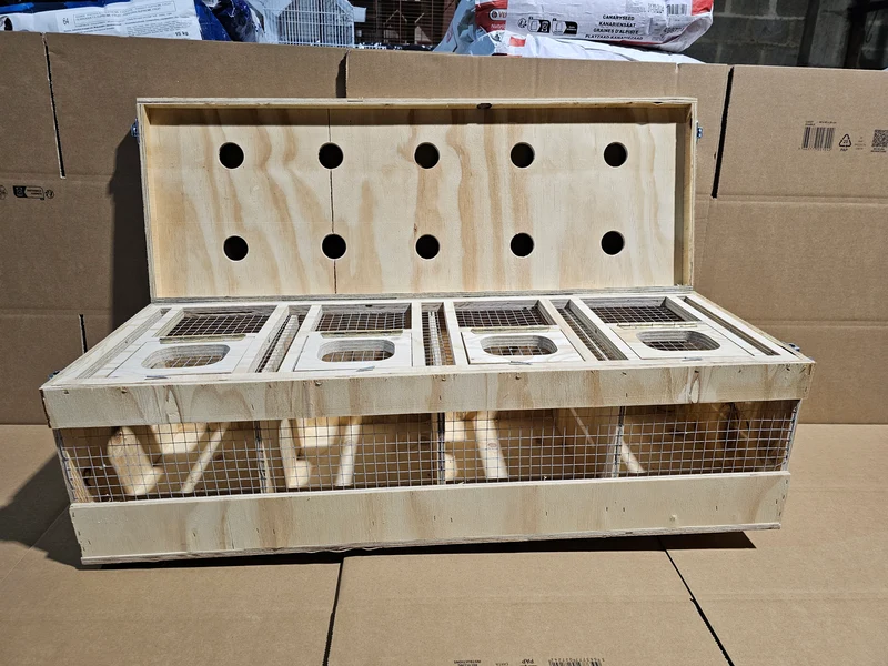 Transportbox Holz (robust und langlebig)