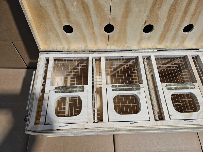 Transportbox Holz (robust und langlebig)