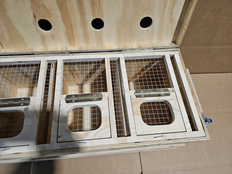 Transportbox Holz (robust und langlebig)