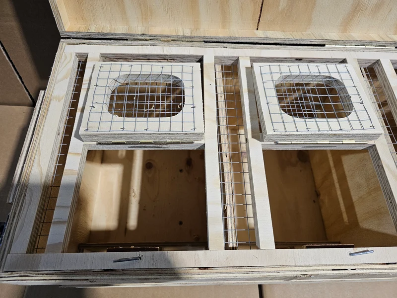 Transportbox Holz (robust und langlebig)