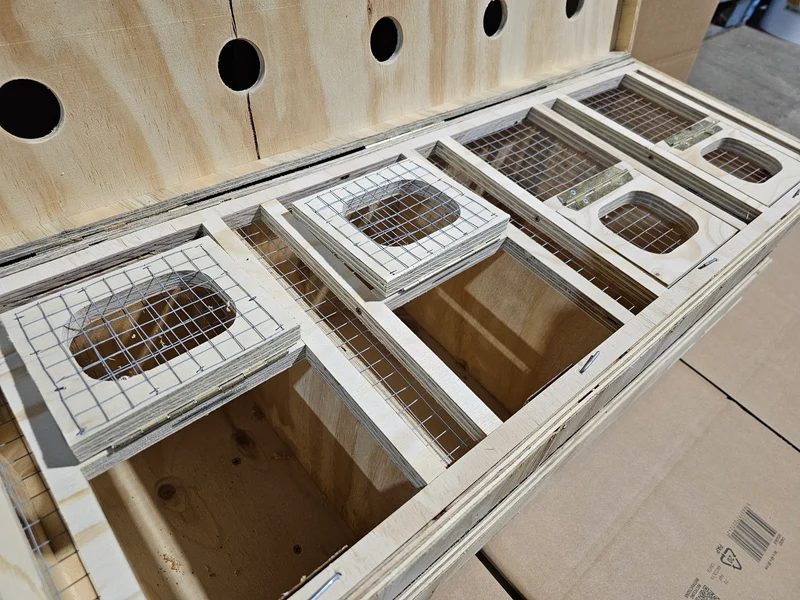 Transportbox Holz (robust und langlebig)