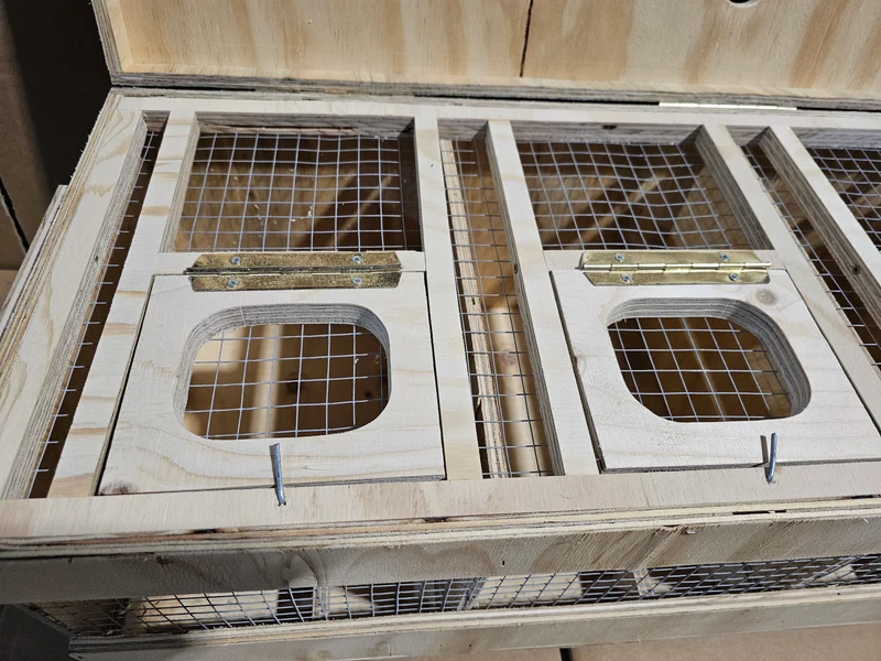 Transportbox Holz (robust und langlebig)