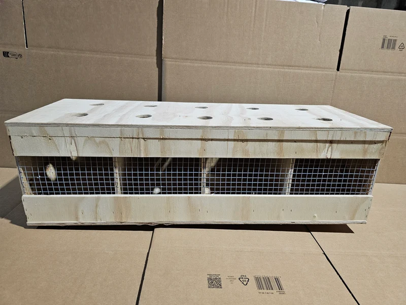 Transportbox Holz (robust und langlebig)