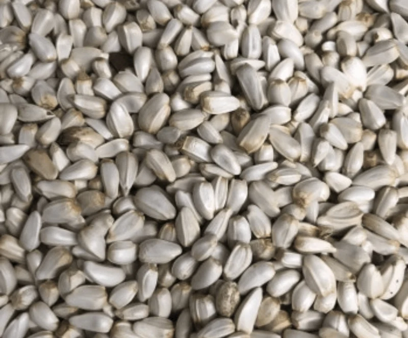 Cardi 15kg (Distelsamen)