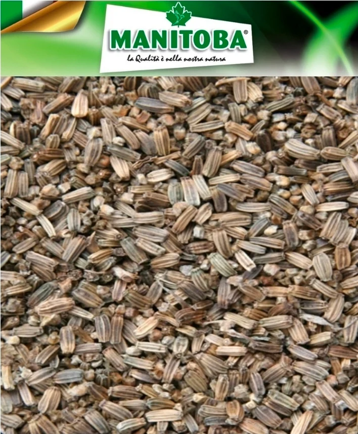 Distelsamen Karde 500 Gramm Manitoba