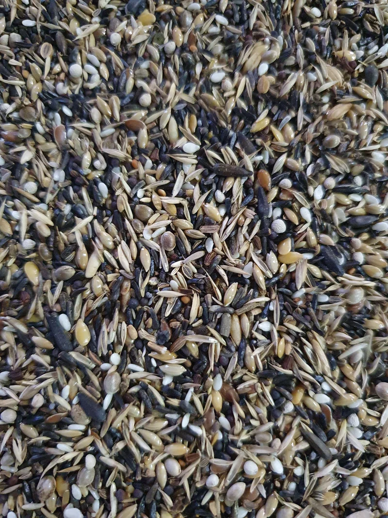 Stieglitz extra 1kg (20% BLATTNER-Samen) - Versele Laga