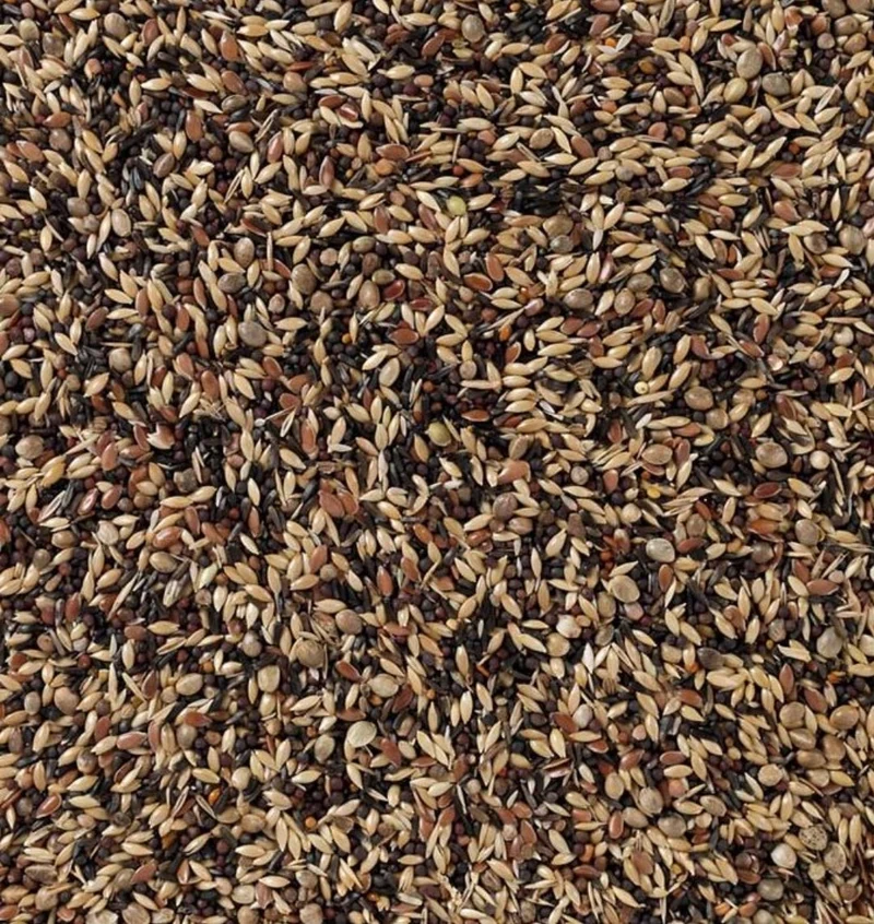 Deli Nature 58 Zeisig und Stieglitz Supreme 1kg