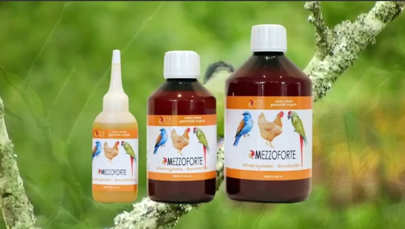 Mezzoforte Vogelvitamine 500 ml - Vita Vogel