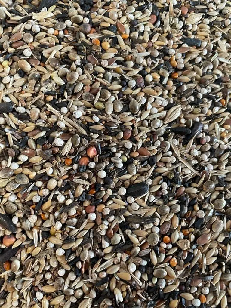 Deli Nature 97 Goldfinken 15kg