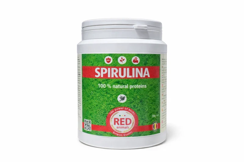 Spirulina (Eine Proteinquelle, Alge) 300 Gramm - Rote Tiere