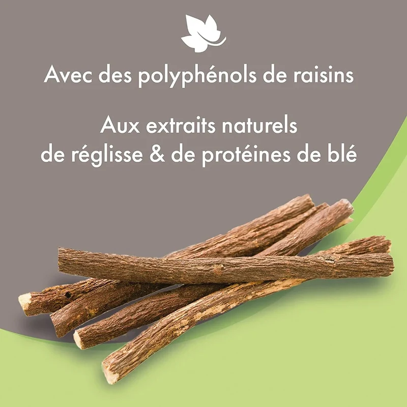 Beaphar Champô de alta cosmética para cães, todos os tipos de pêlo