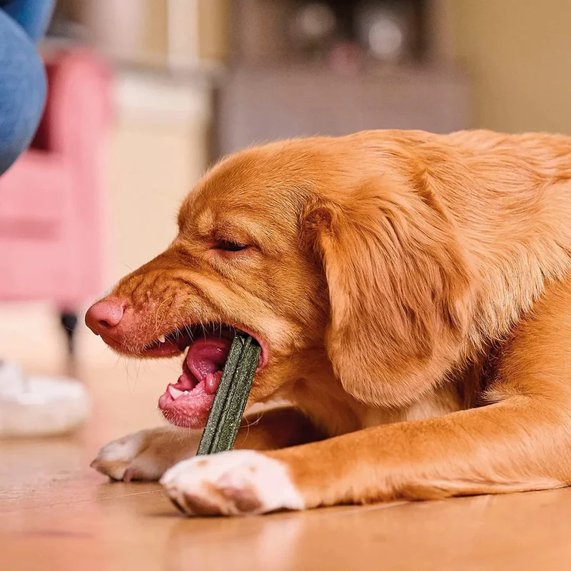 Beaphar - Snack para cães adultos, Médios e Grandes - Sticks de Limpeza Oral