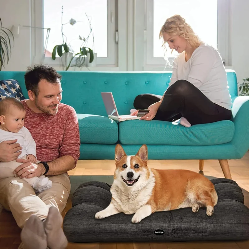 🐶 Cama para Cães Grandes e Médios - Lavável