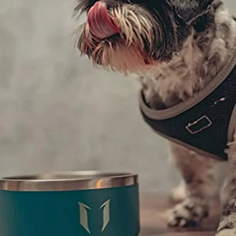 Comedouro para cães ou gatos, em aço inoxidável, base de silicone antiderrapante, lavável na máquina de lavar louça