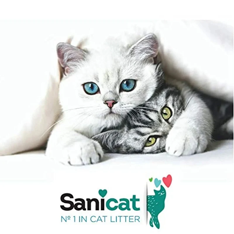 SANICAT Evolution Kitten, Areia de Gato Aglomerante - 6L (Até 1 ano de idade)