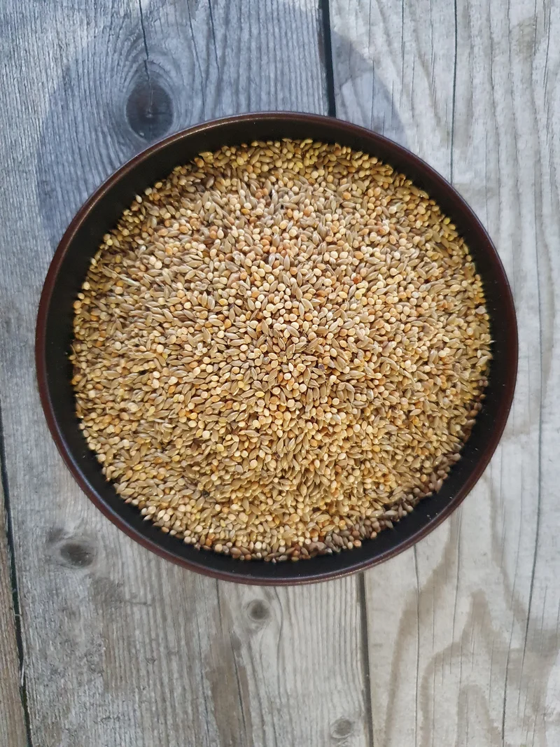 Exoten Michotte Goulds 20kg - Hobbyfarm Hoebregts
