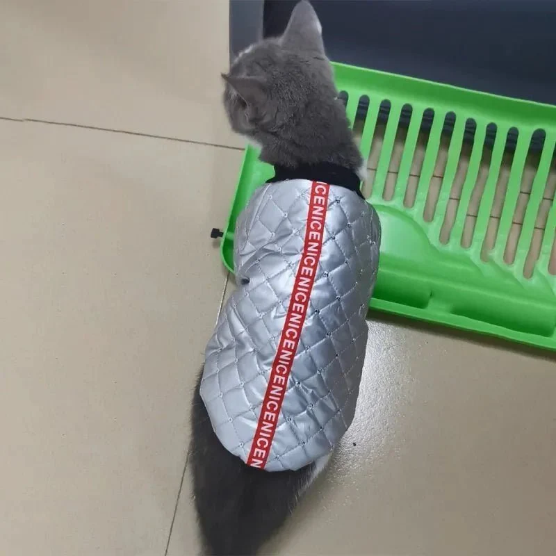 Camisola / Blusão de Outono / Inverno, Acolchoado para para Cães ou Gatos
