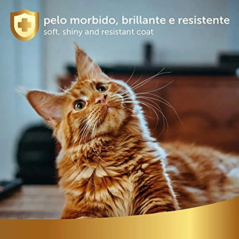 Desembaraçante e desodorizante, a seco, para gatos, 250 ml