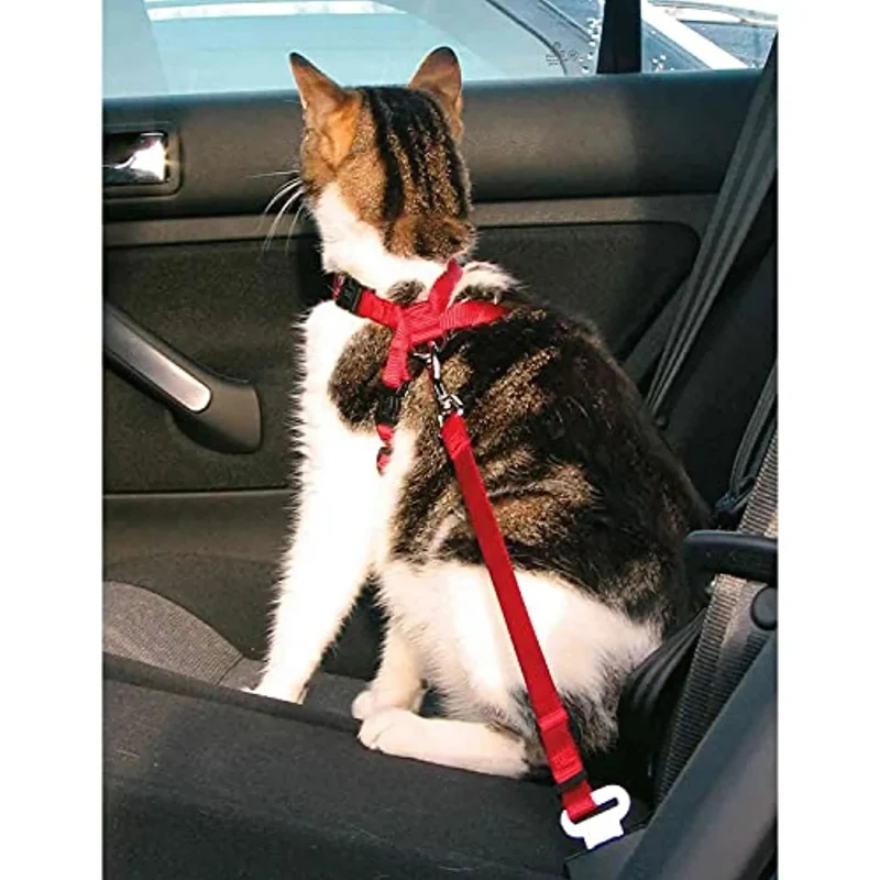 Trixie - Arnês para carro, para gatos