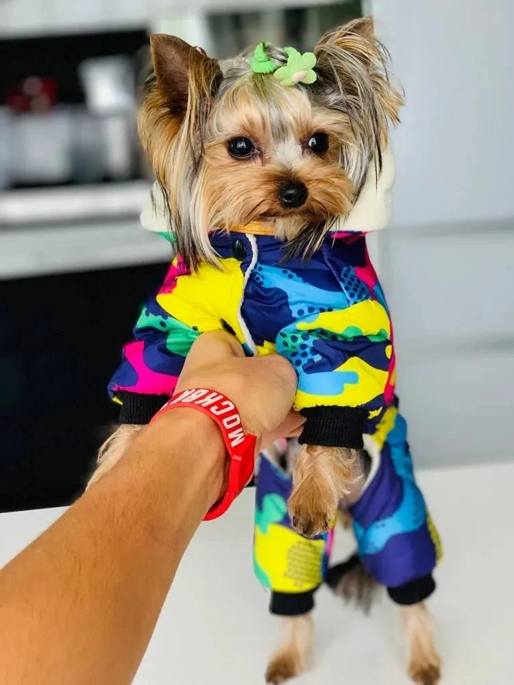 Blusão Colorido, Quente, Impermeável e com Capuz para Cães Pequenos / Médios