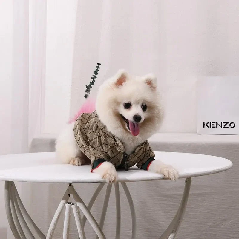 Blusão Designer com Zipper - Quente e Confortável - Para Cães de Raças Pequenas e Médias