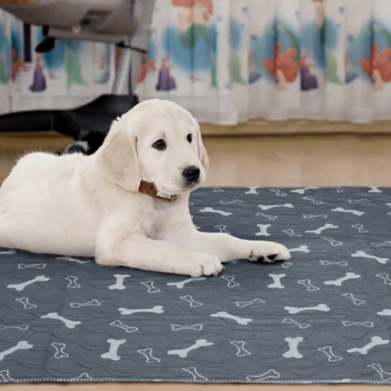 Tapete de Proteção - Base 100% Impermeável - Reutilizável - Absorvente - Lavável na Máquina