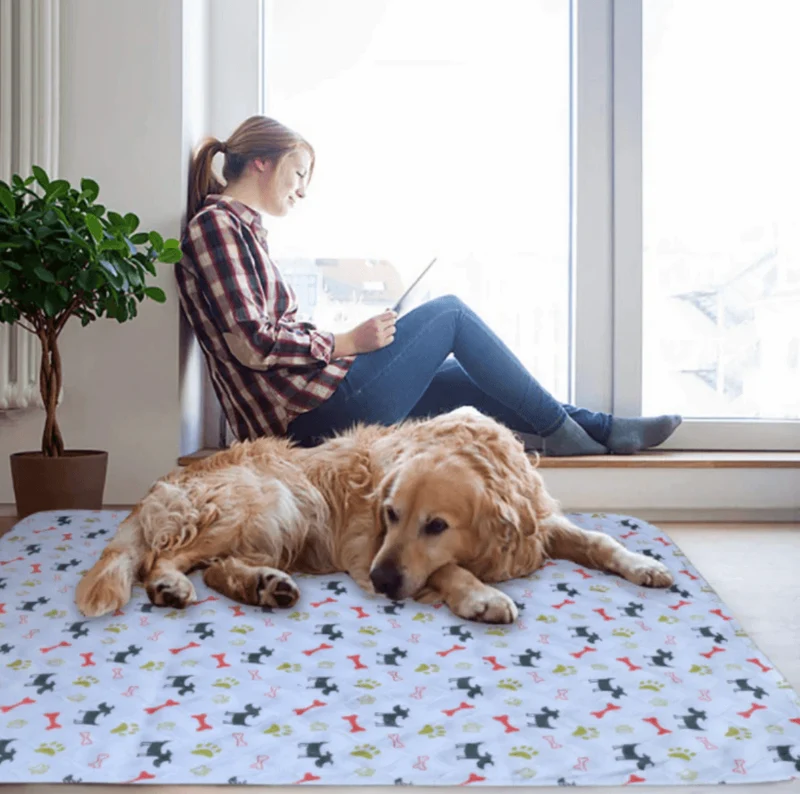 Tapete de Proteção - Base 100% Impermeável - Reutilizável - Absorvente - Lavável na Máquina