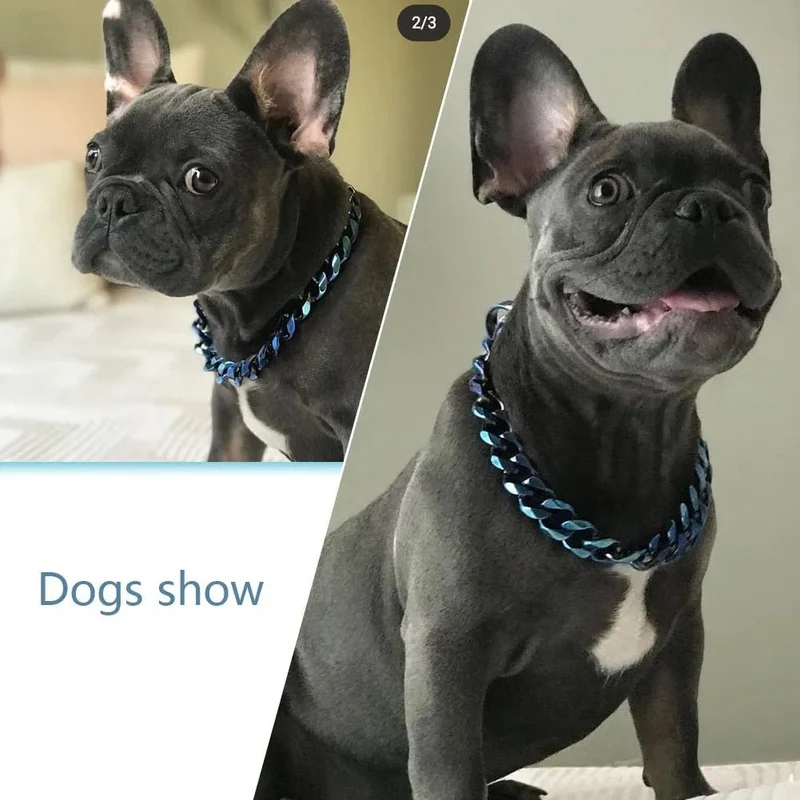 ❤️ Coleira Arco-Íris em Aço com 19 mm de Largura - Para Cães ❤️