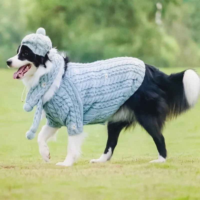 Camisola de Lã e Gorro com Cachecol para Cães (Outono / Inverno)