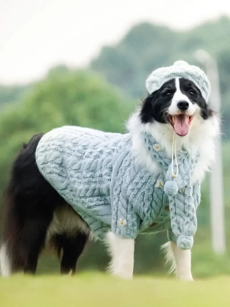 Camisola de Lã e Gorro com Cachecol para Cães (Outono / Inverno)