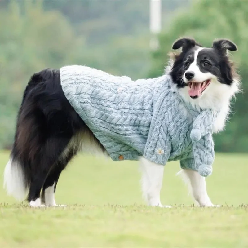 Camisola de Lã e Gorro com Cachecol para Cães (Outono / Inverno)