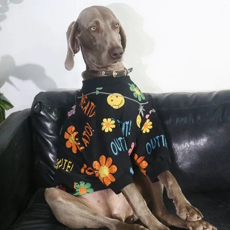 Capa / Camisola para Cães